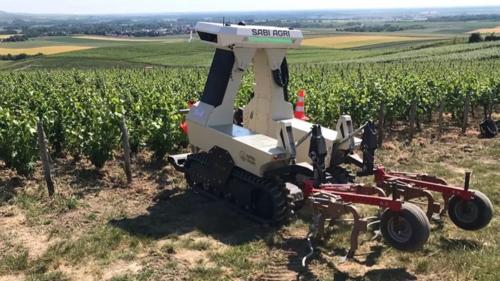 The Zilus all-terrain ag robot in the field. (Source - SABI AGRI)